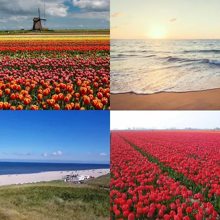 Wijde Blick Xl Aan Zee * Callantsoog